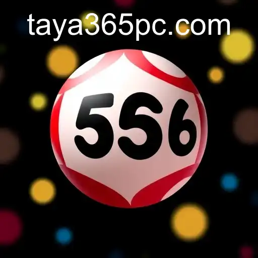 Exploring the World of Online Bingo: A Focus on taya365